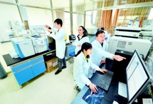 科技融合 網絡技術研發推動藍莓產業轉型升級